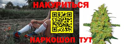 кокс Кингисепп