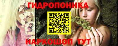 кокс Кингисепп
