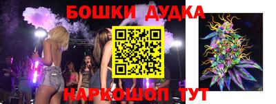 кокс Кингисепп