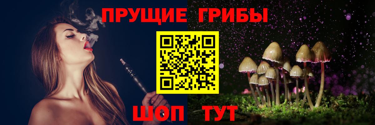 Псилоцибиновые грибы прущие грибы  Галлюциногенные грибы Psilocybine cubensis  наркотики  Чита  Вход с VPN 
